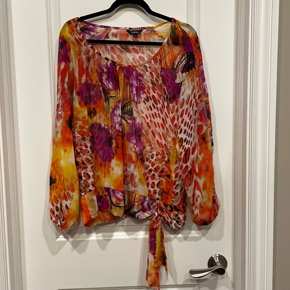 Ladies sheer top. - Picture 1 of 4